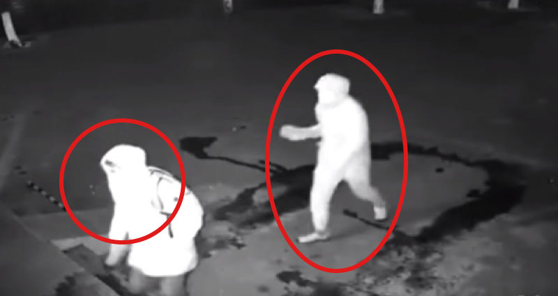 Intrusos detectados